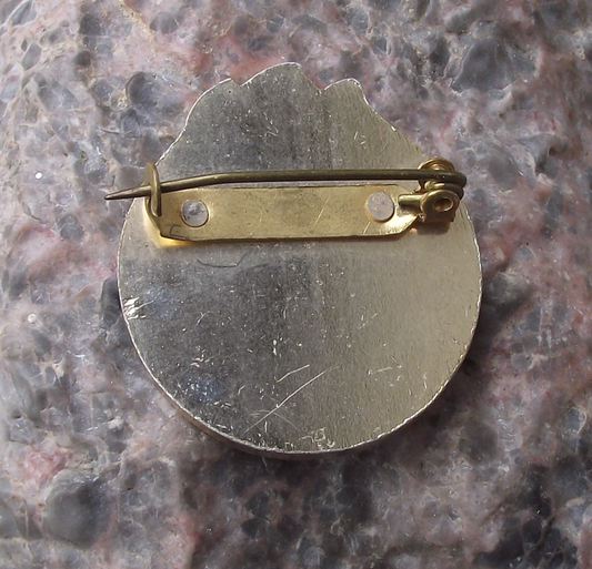 Young Tourist Grade 1 Czechoslovakia Youth Camping Pioneer Award Pin Badge