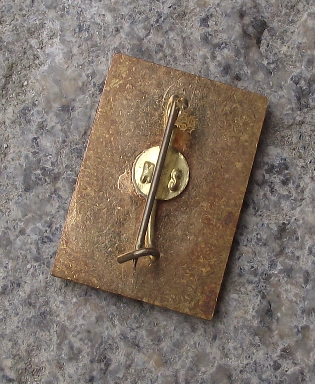 1979 Romania Ice Hockey Romanian Sports Pin Badge - Badgecrazy