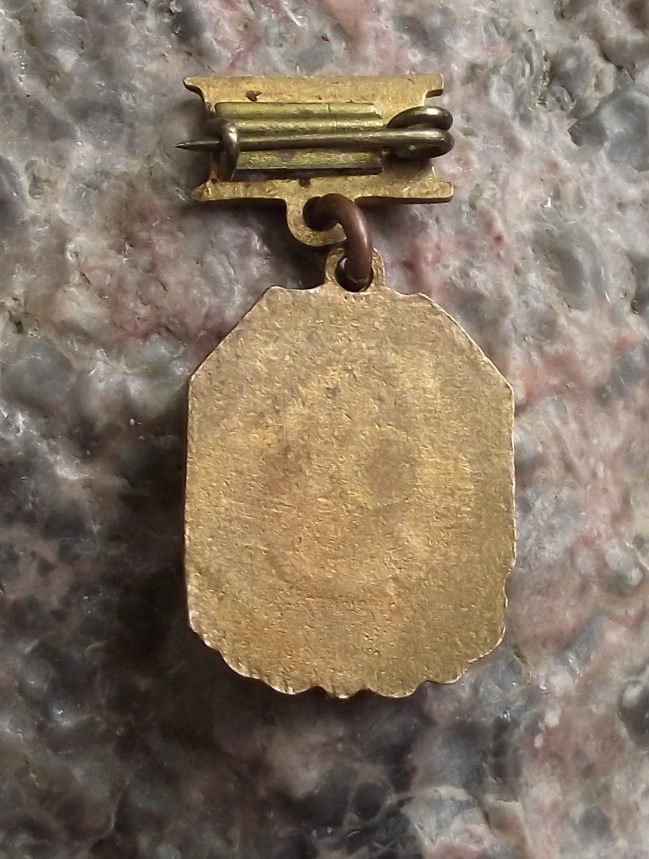 Vintage 3D Lenin Head on Laurel Leaves Medal Style Pin Badge