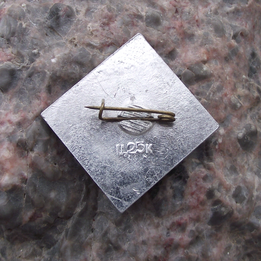 1970 Young Man Lenin Centenary 100th Anniversary Soviet Union Pin Badge