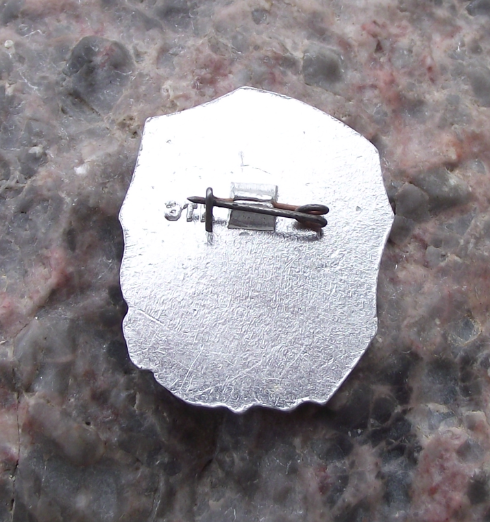 Vintage Ivan Franko Ukrainian Poet Writer Political Activist Pin Badge