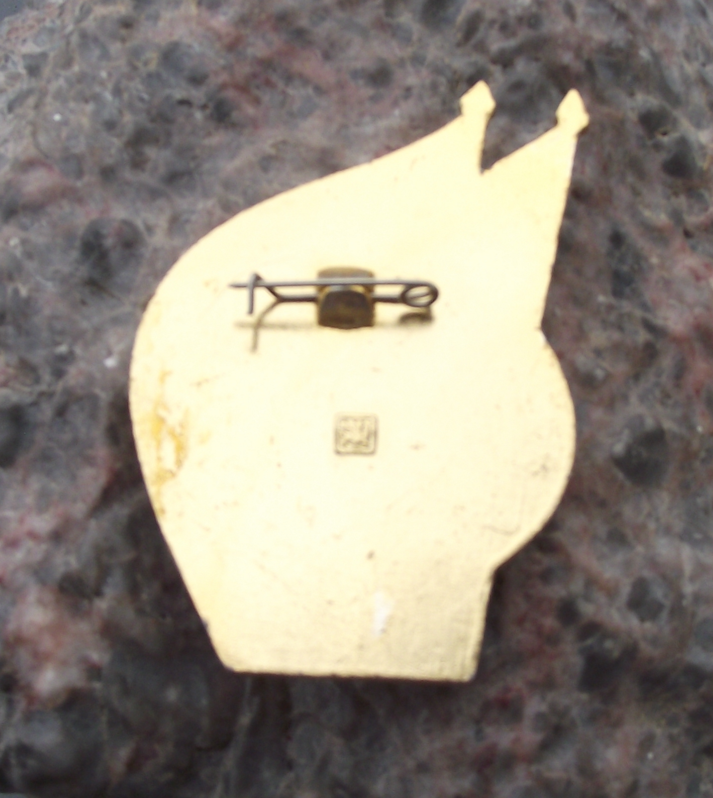 Vintage Yakov Sverdlov Russian October Revolution Leader Flag Pin Badge