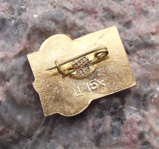 1971 Lesya Ukrainka Ukrainian Feminist Pioneer and Writer Pin Badge