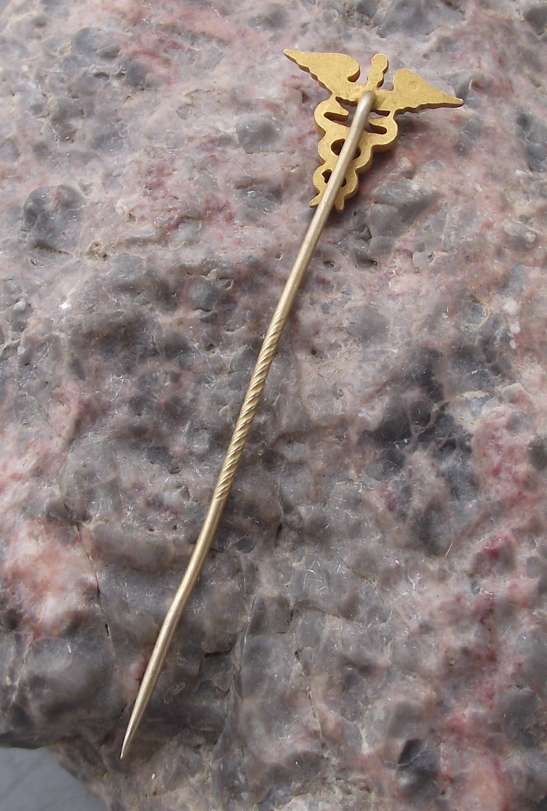 Vintage Caduceus Medical Winged Staff of Hermes and Snakes Pin Badge