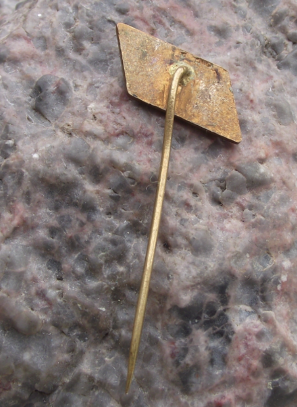 Vintage FIM Motorcycle World Championship Brno Grand Prix MotoGP Race Pin Badge