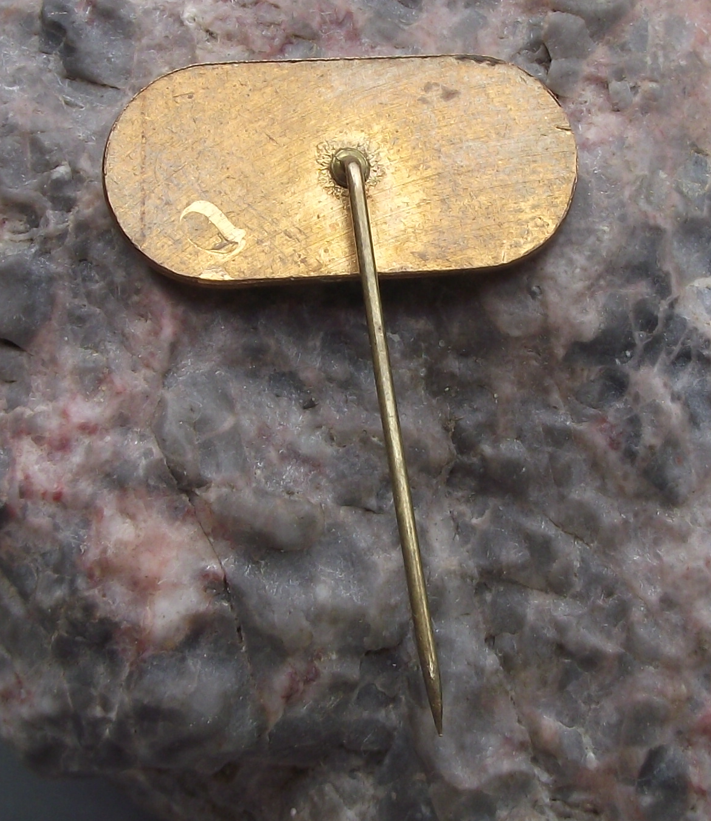 Vintage AMK Auto Moto Klub Marianske Lazne Motorcycle Speedway Track Pin Badge