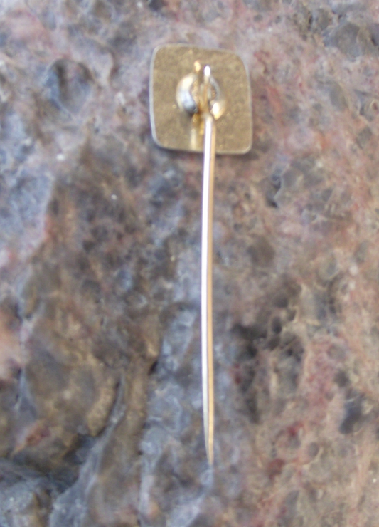 Chodsko Chodenland Region of Domazlice Chod Ethnic Group Pin Badge