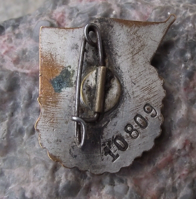 Vintage Big FDJ Freie Deutsche Jugend East German Good Student Pin Badge