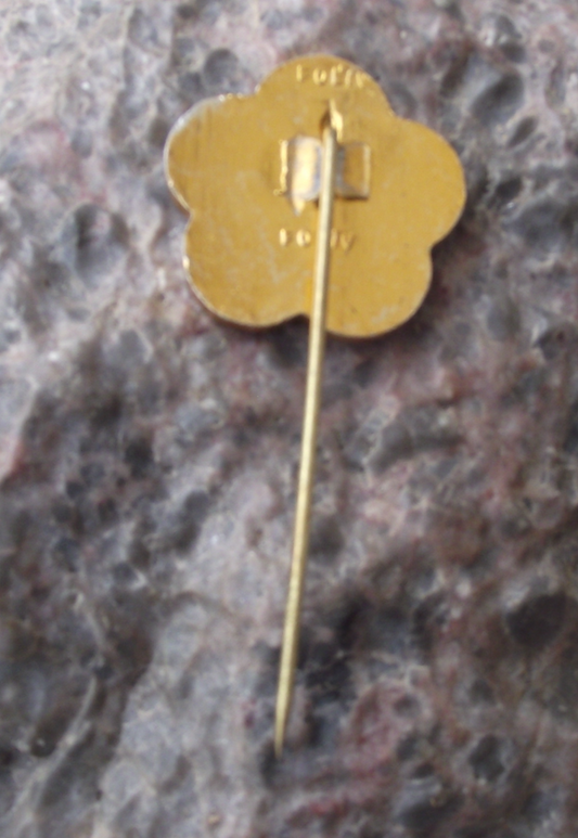1959 WFDY World VII 7th Youth Festival Vienna Hungarian Pin Badge