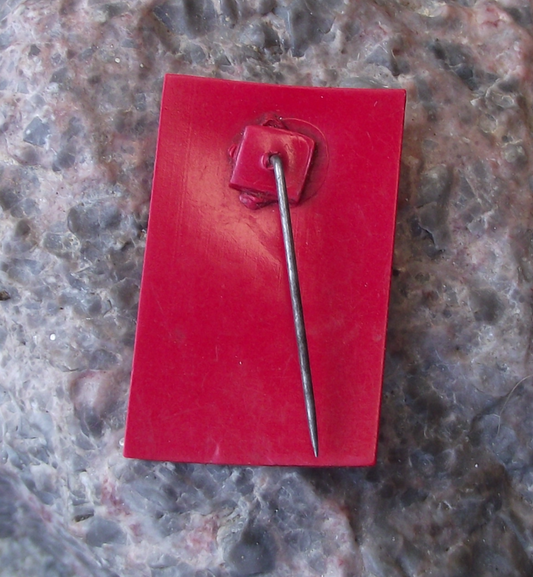 1933 Czechoslovakia May Day Celebration Anti Fascist Fasces Pin Badge