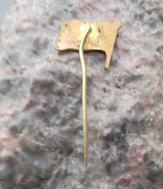 Vintage Czechoslovakia CSPL Labe River Shipping Company Flag Pin Badge - Badgecrazy