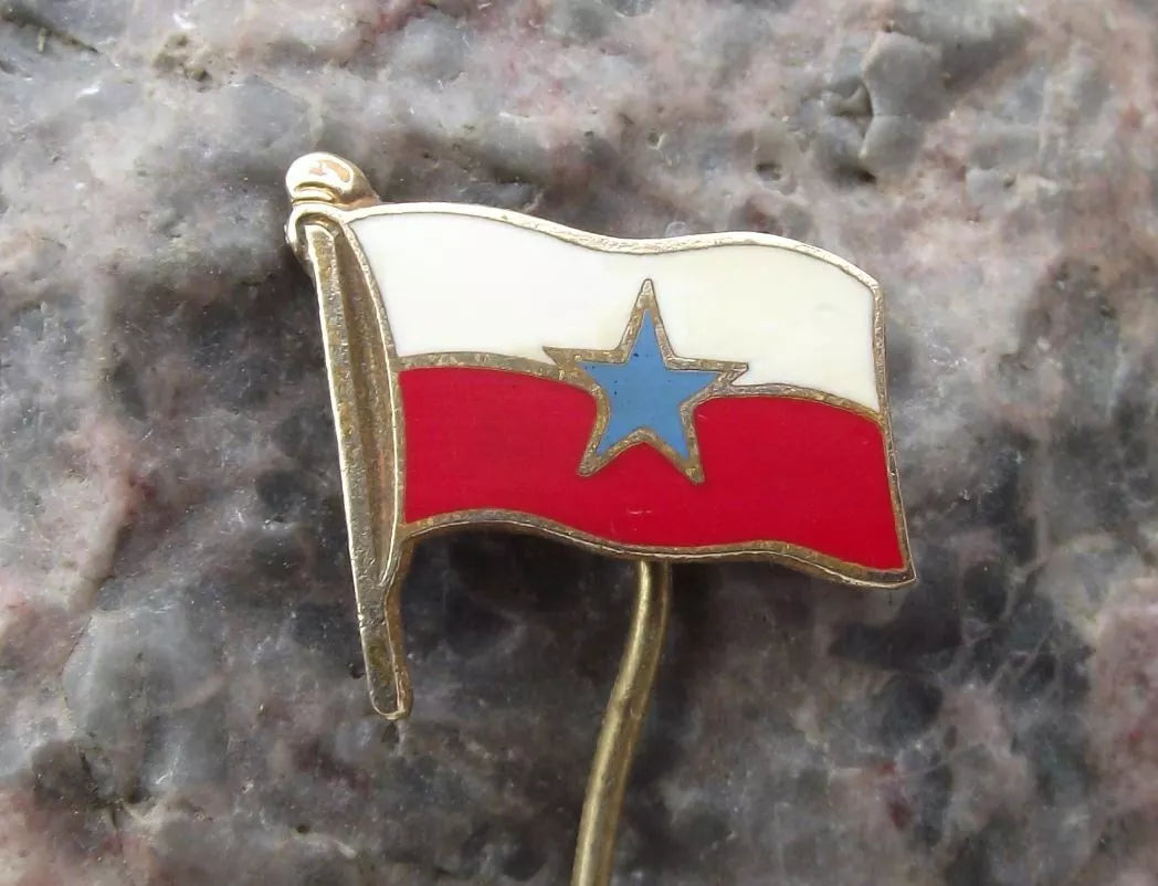 Vintage Czechoslovakia CSPL Labe River Shipping Company Flag Pin Badge