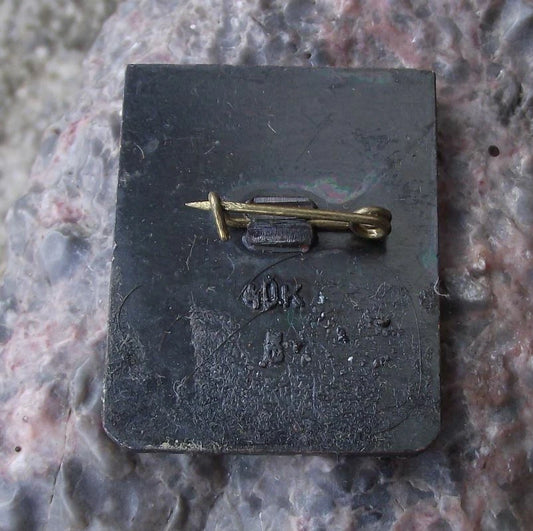 Vintage Riga Latvia Coat of Arms Heraldic Crest Crossed Keys Castle Pin Badge - Badgecrazy