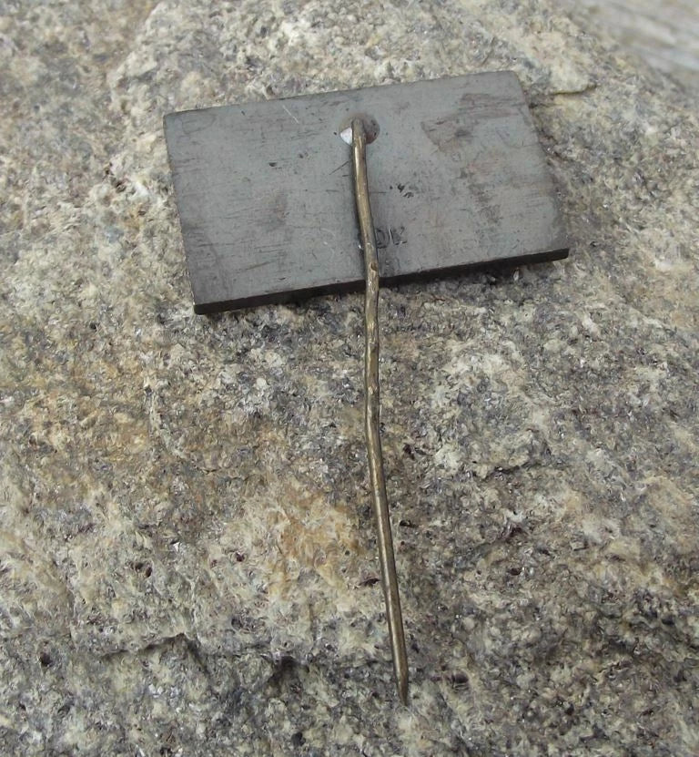 Vintage University of Latvia Valsts College Latvian Education School Pin Badge