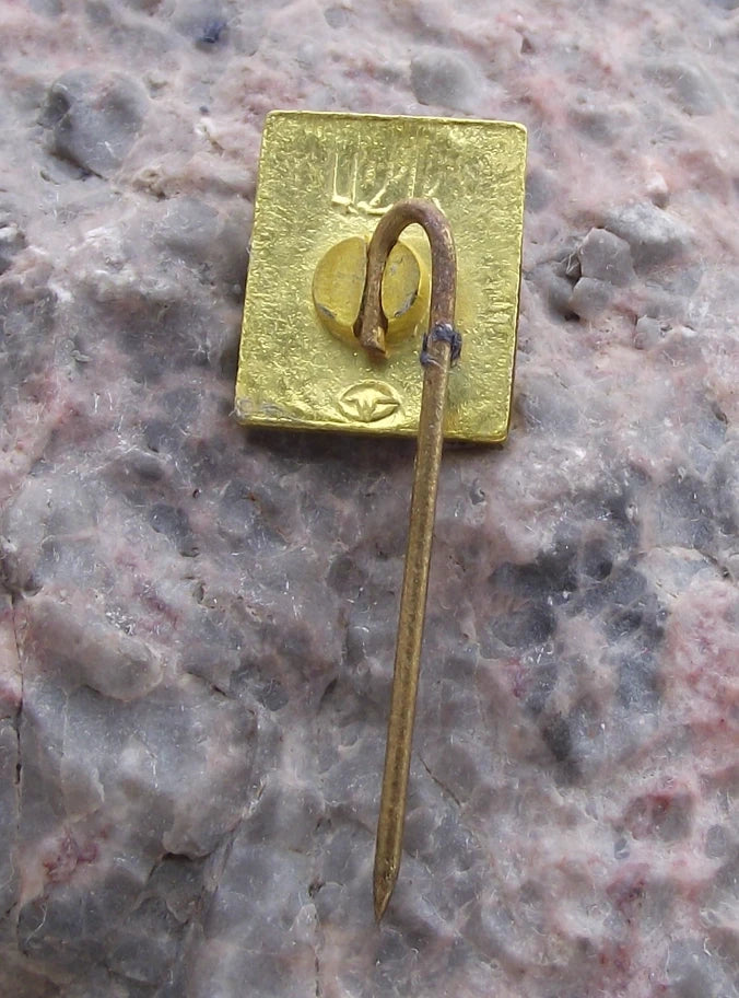 Vintage Lithuania Trakai Island Castle National Park History Museum Pin Badge
