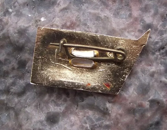 1964 Voskhod 1 Soviet Space Rocket Blast Off 3 Cosmanauts Space Race Pin Badge - Badgecrazy