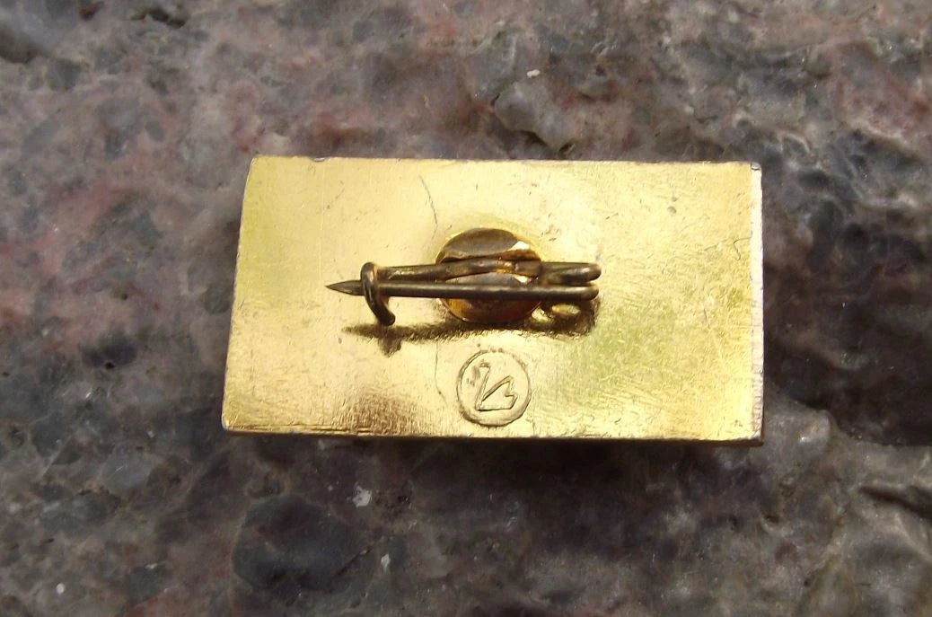 1966 Luna Lunik 10 Russian Soviet Moon Satellite Lunar Orbiter Space Pin Badge