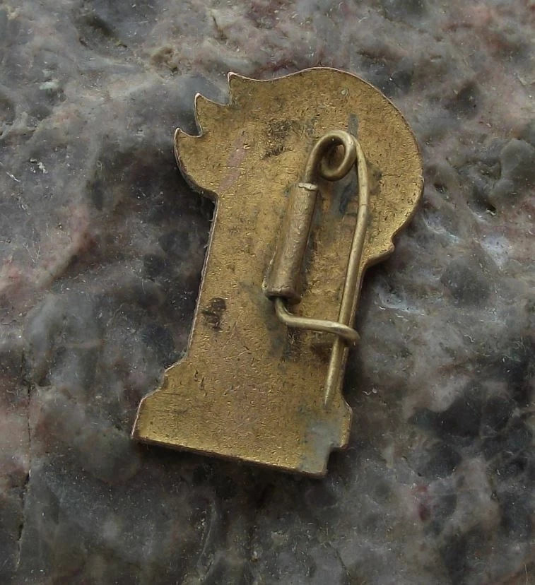 Vintage Sukhe Bator Mongolian Pioneers Organization Youth Group Flames Pin Badge - Badgecrazy