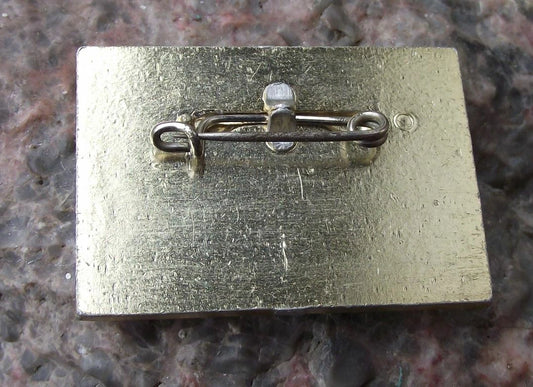 1969 FDJ Freie Deutsche Jugend Signal DDR 20 Rocket East Germany Pin Badge