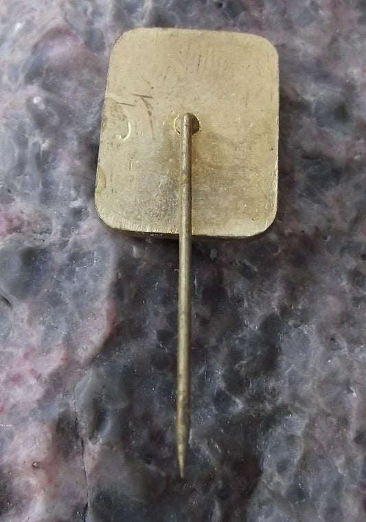 Vintage TJ Skoda Czechoslovakia Ice Hockey Team Sticks Logo Pin Badge
