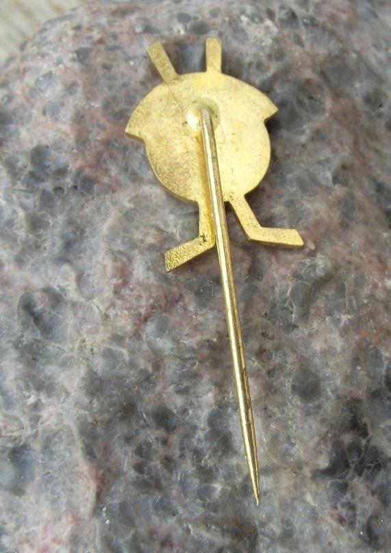 1980 Tesla Pardubice Czech Ice Hockey Team Club 20th Anniversary Pin Badge