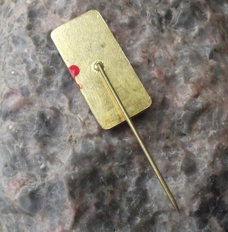 Vintage Tatra Trucks Czech Construction Lorry Model T 815 Front View Pin Badge - Badgecrazy