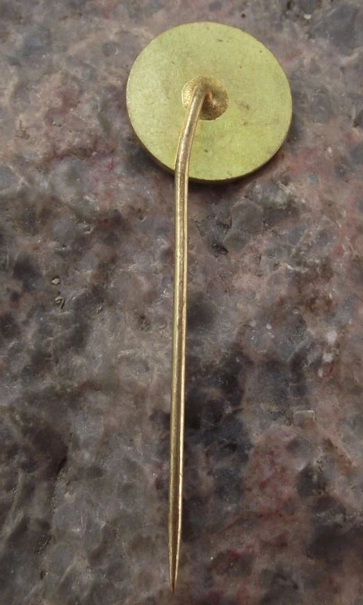 Vintage Tatra Car Truck Maker Czech Motor Factory Auto Company Kolín Pin Badge - Badgecrazy