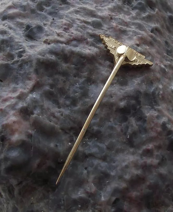 Vintage Letov Czechoslovakia Military Aircraft Factory Winged Sword Pin Badge - Badgecrazy