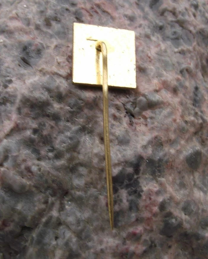 1969 AVIA Aviation Aircraft Truck Company 50th Anniversary Flying Bird Pin Badge - Badgecrazy