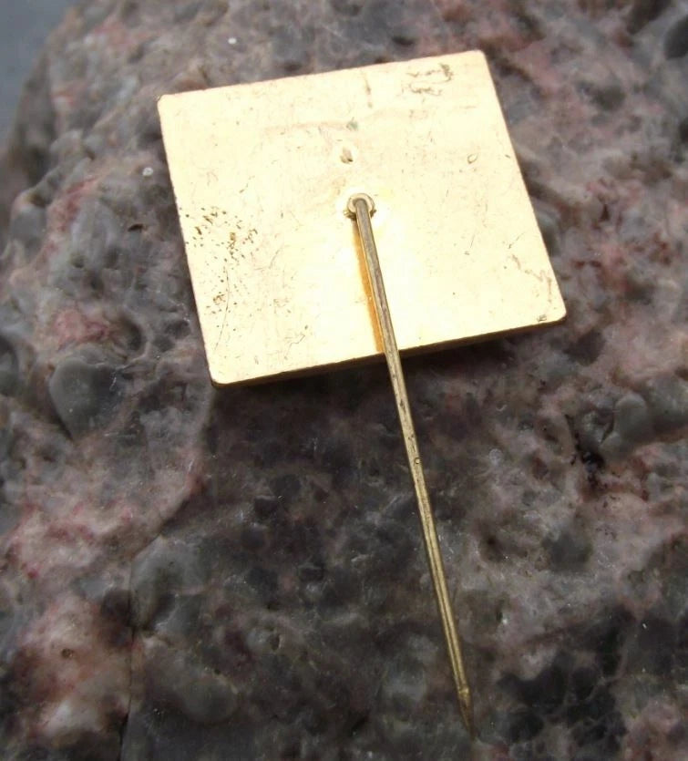 1989 AVIA Aviation Aircraft Truck Company 70th Anniversary Flying Bird Pin Badge - Badgecrazy