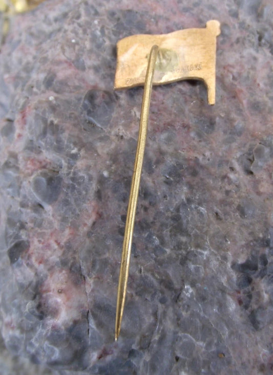 Vintage Prague Czechoslovakia CSPL Labe River Shipping Company Flag Pin Badge