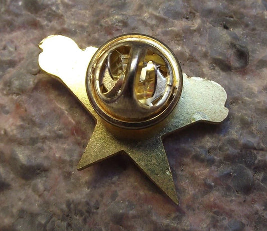 Dallas Stars Pre 2013 NHL USA Ice Hockey League Team Emblem Tie Pin Jacket Badge