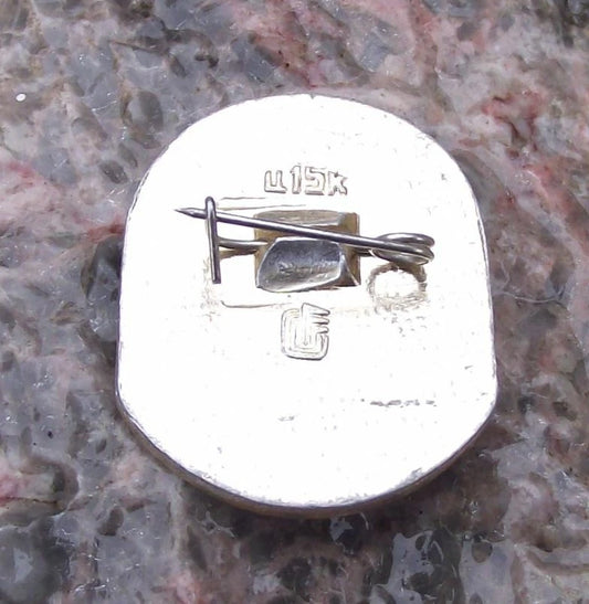 1986 Ice Hockey World Championships Soviet Union USA American Flag Pin Badge