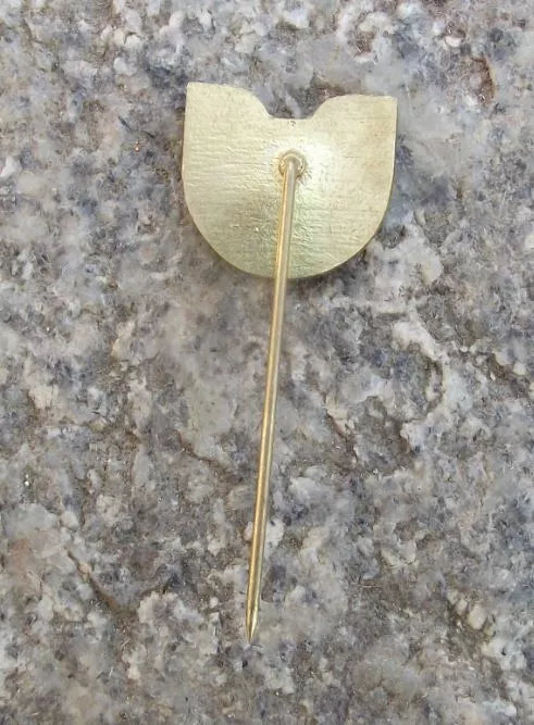 Vintage Czechoslovakia Railway System CSD Train Network Prague Region Pin Badge