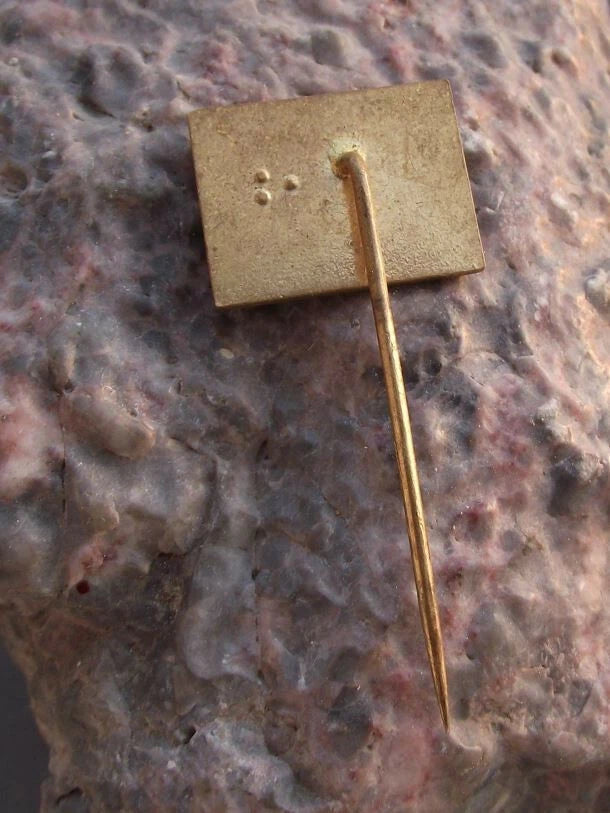 Vintage Czechoslovakia Railway CSD Train Network North West Regional Pin Badge