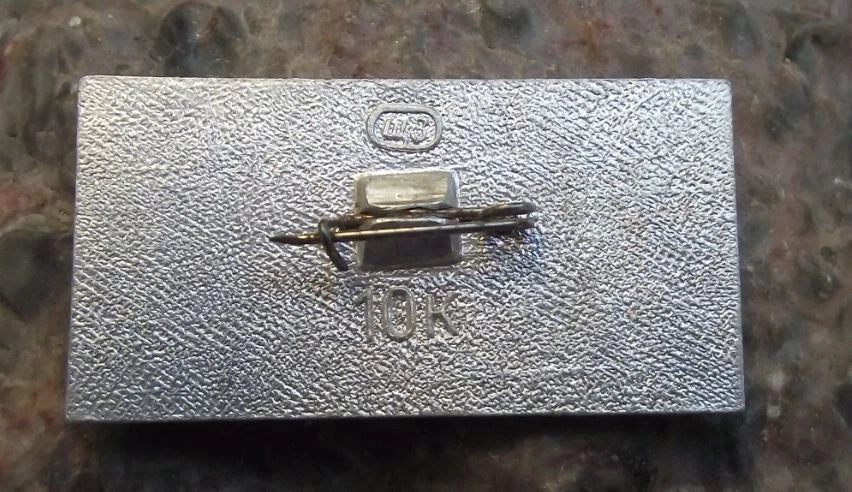 Vintage Aeroflot Aviation 1931 ANT-14 Tupolev Aircraft Pin Badge