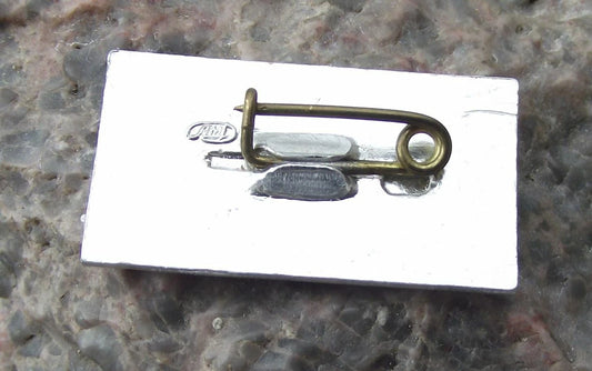 Aeroflot Russian Airlines Red Airliner Around the Globe Aircraft Logo Pin Badge