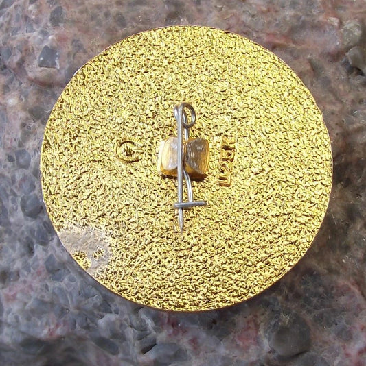 1980 Moscow Russia Summer Olympic Games Swimming Crawl Stroke Pool Pin Badge