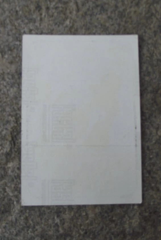 1980's FIM Grand Prix MZ Honda Yamaha Suzuki CSSR MotoGP Motorbike Sticker Decal