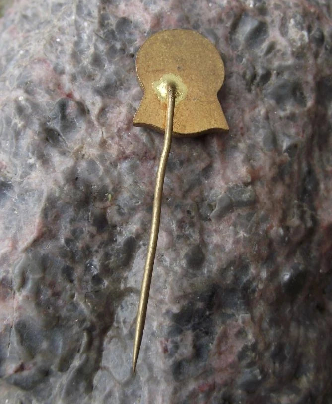 Vintage Czechoslovakia State Forestry LZ Bratislava Trees Forest Pin Badge