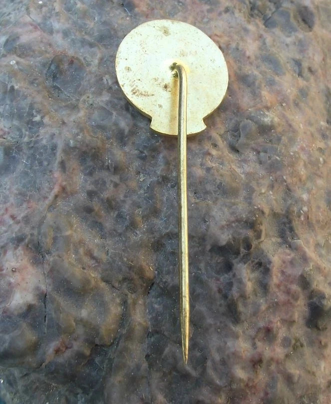 Vintage Nemcice nad Hanou Hunters Association Pheasant Hunting Pin Badge