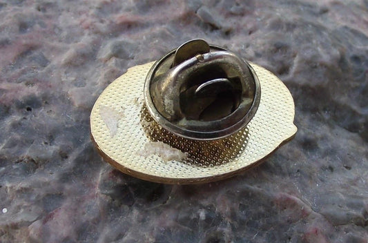 NASA STS-101 Space Shuttle Atlantis ISS Resupply Mission Pin Badge