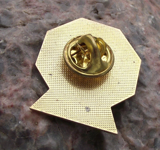 NASA Space Shuttle Mission STS 121 Discovery Safety Flight Launch Team Pin Badge