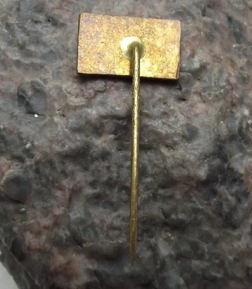 Vintage Trosky Castle Ruin Twin Volcano Basalt Towers Souvenir Pin Badge