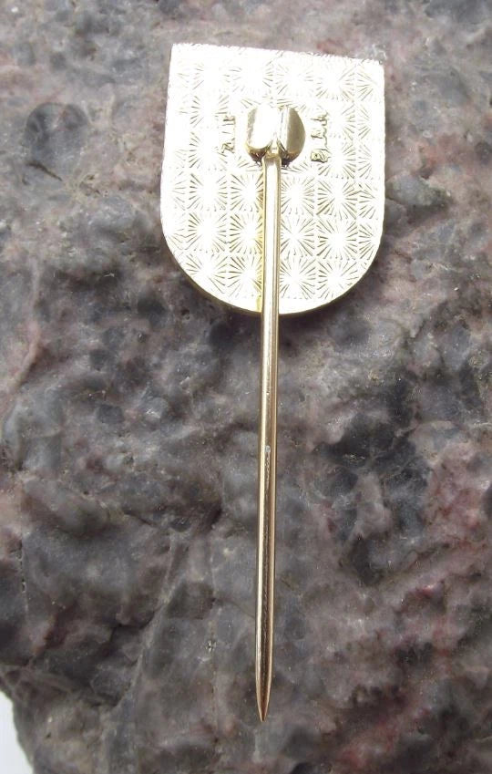 Vintage Telc UNESCO Heritage Site Moravia Official Heraldic Crest Pin Badge