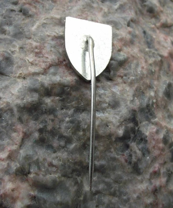 Vintage Tyn Týn nad Vltavou Czechoslovakia City Coat of Arms Pin Badge