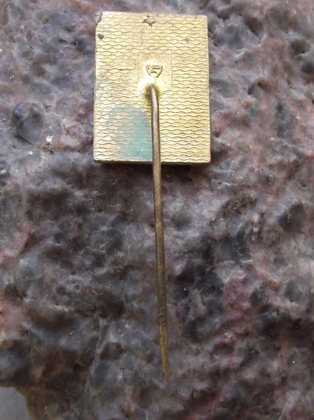 Vintage Tucapy Tučapy Czech Rose Bloom Flower Emblem Crest Tourist Pin Badge