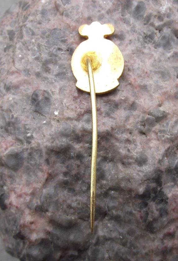 Vintage Třebechovice pod Orebem Coat of Arms Heraldic Crest Souvenir Pin Badge