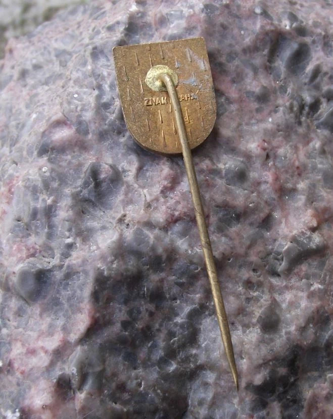 Vintage Lazne Tousen Tauschim Coat of Arms Heraldic Crest Pin Badge