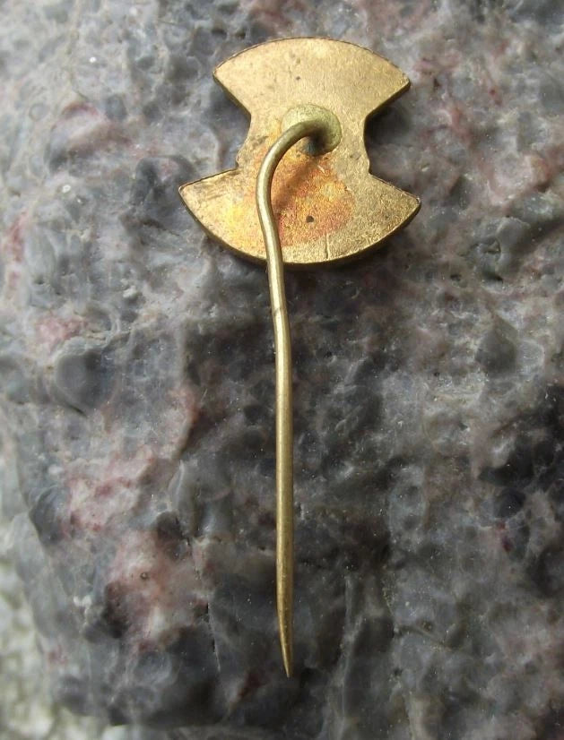 1970 Tynec nad Labem Czech Town 860th Anniversary Coat of Arms Pin Badge